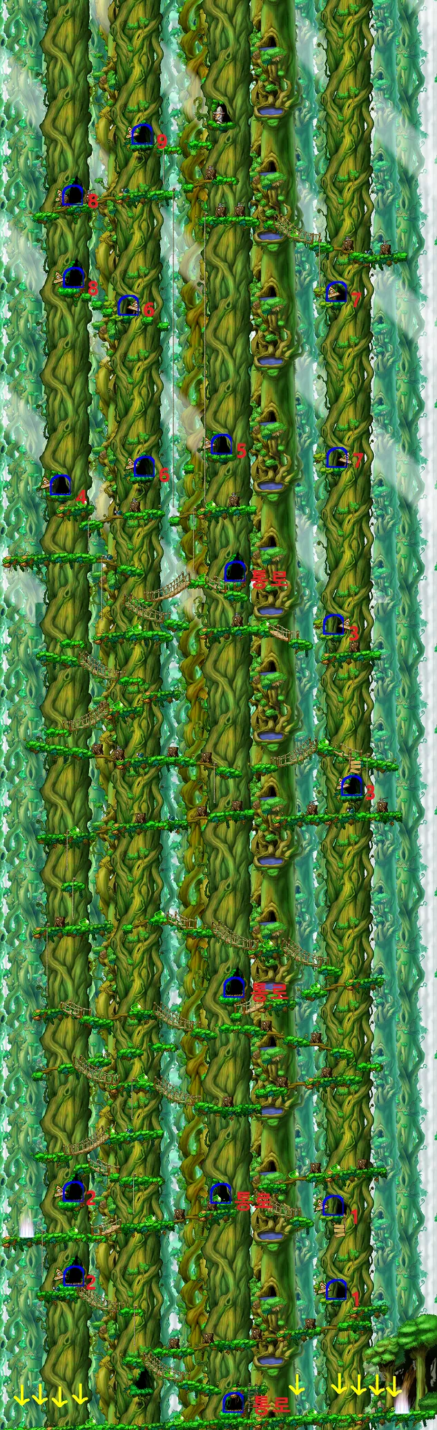 엘리니아 북쪽숲 히든맵 진입 위치