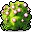 핑크 안시리움