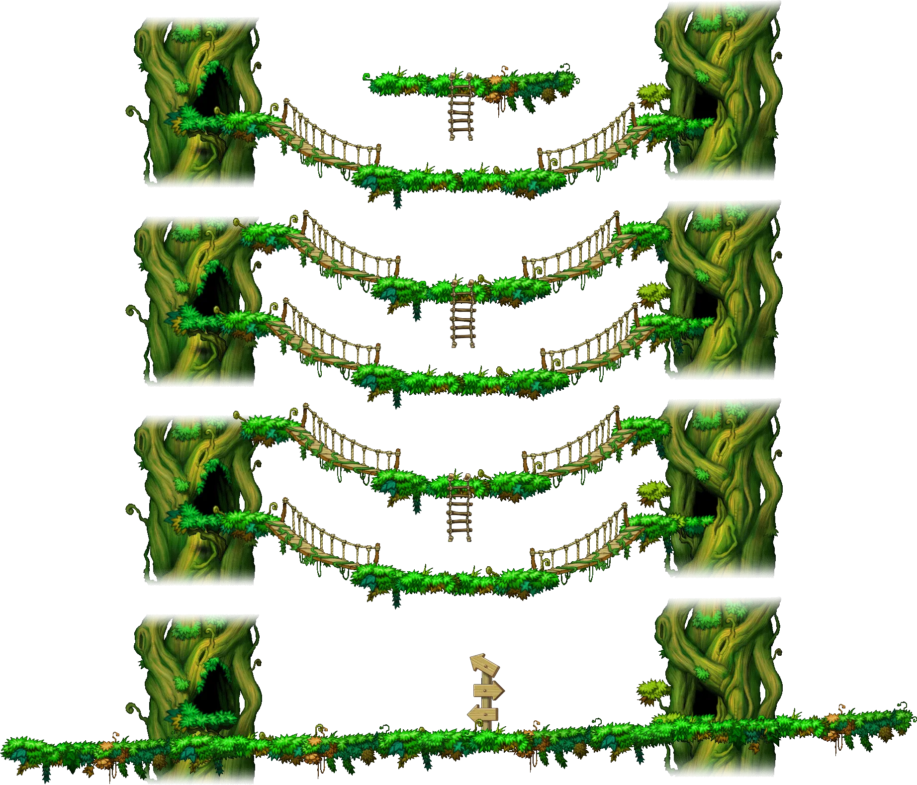 숲이 시작하는 곳